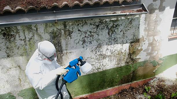 Top rated local Crawl Space Mold Removal specialists in Blackwood, NJ